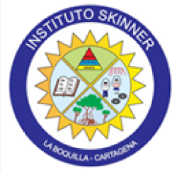 instituto skinner